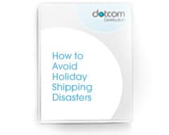 How to Avoid Holiday Shipping Disasters