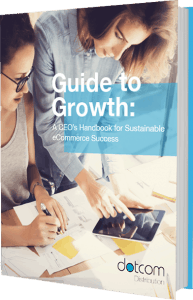 Guide to Growth: A CEO's Handbook for Sustainable eCommerce Success